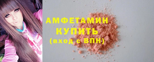 шишки Лабытнанги