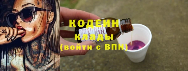 шишки Лабытнанги