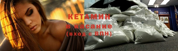 шишки Лабытнанги