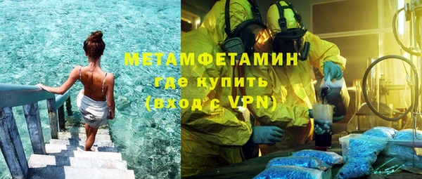 индика Ладушкин