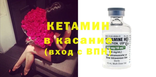 индика Ладушкин