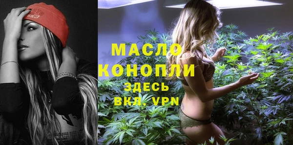 индика Ладушкин
