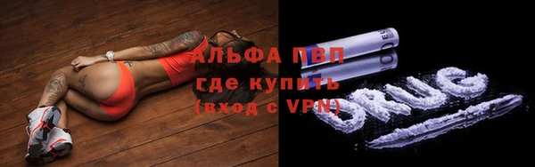 индика Ладушкин