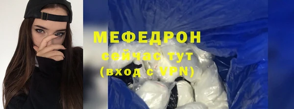 индика Ладушкин