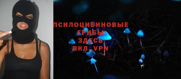 шишки Лабытнанги