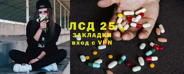 индика Ладушкин
