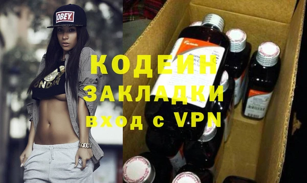 индика Ладушкин