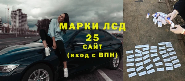 шишки Лабытнанги
