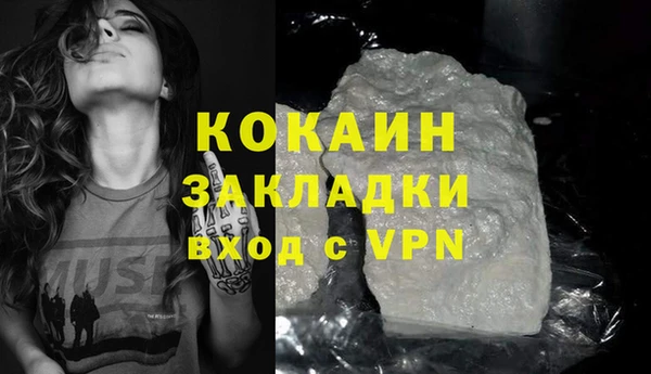 индика Ладушкин
