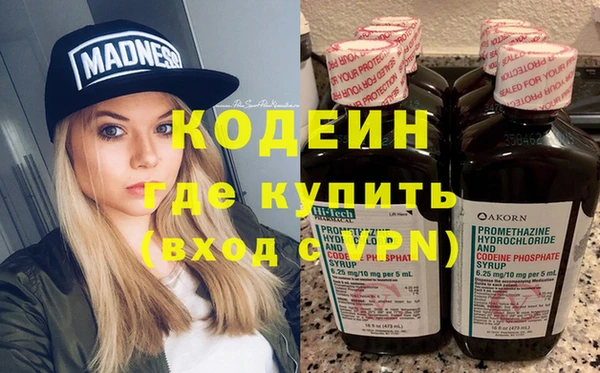 индика Ладушкин