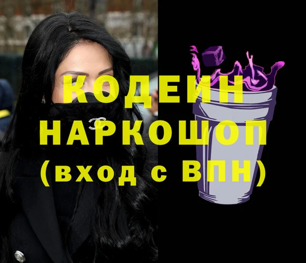 шишки Лабытнанги