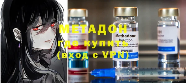 индика Ладушкин