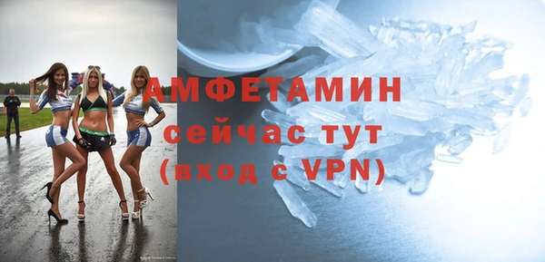 шишки Лабытнанги