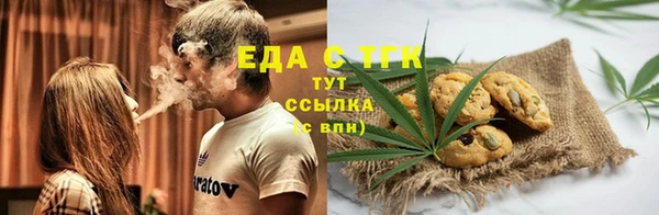 индика Ладушкин