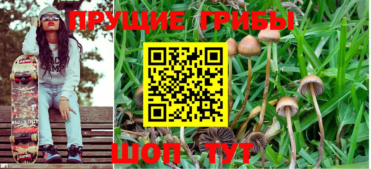 Галлюциногенные грибы Psilocybine cubensis  Галлюциногенные грибы Cubensis  Березники 