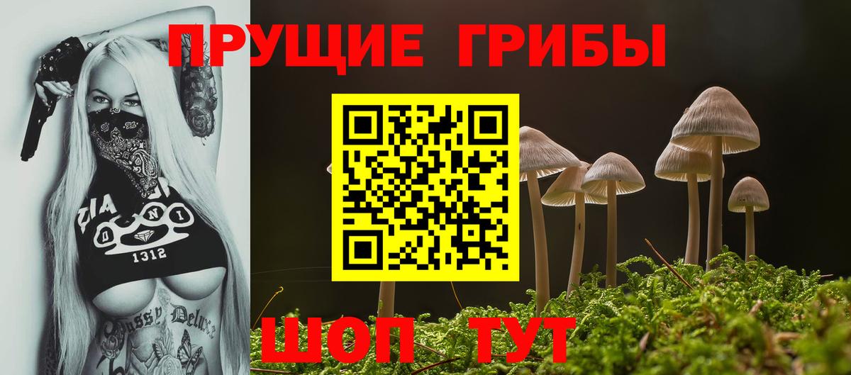 Галлюциногенные грибы Psilocybe  Вход с VPN  Березники 