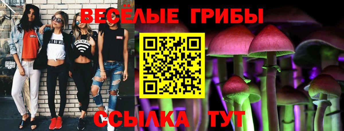 Псилоцибиновые грибы Magic Shrooms Березники