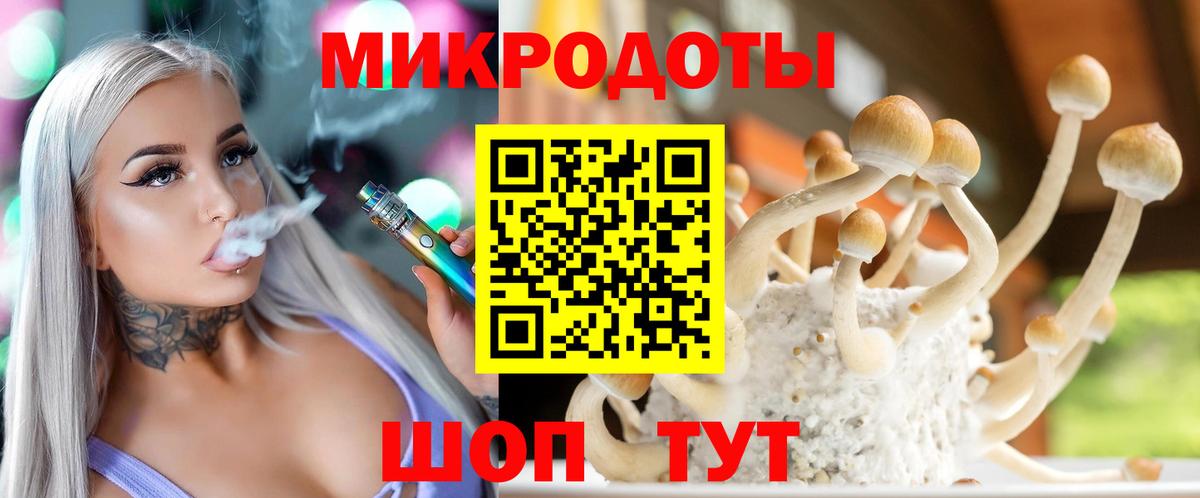 Псилоцибиновые грибы Psilocybe Березники